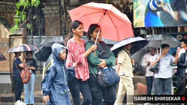 Indias June rainfall 11% below normal, fifth lowest since 2020